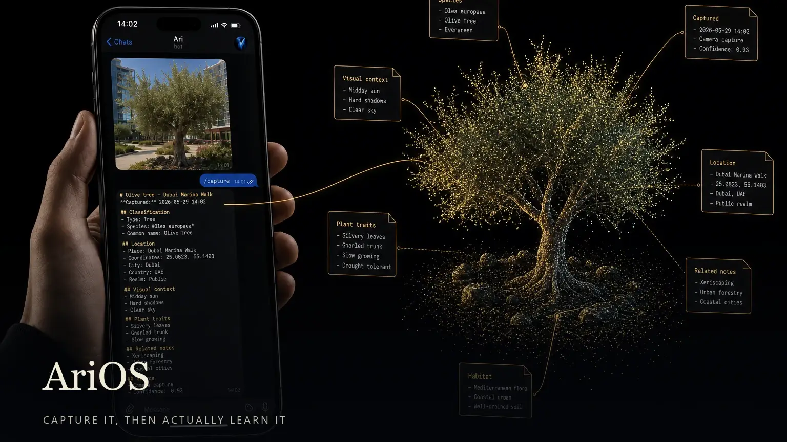 AriOS cover: a hand holding a phone showing the capture app classifying a photo into markdown notes, beside a glowing golden 3D point-cloud knowledge graph of the captured object with annotation callouts, titled 'AriOS' over the line 'Capture it, then actually learn it'.